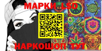 гашик Будённовск