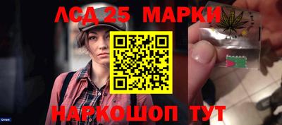 гашик Будённовск