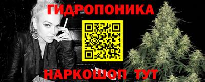 гашик Будённовск