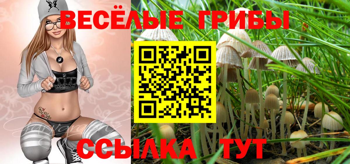 Галлюциногенные грибы мицелий  Вход с VPN  Ртищево  Галлюциногенные грибы GOLDEN TEACHER 